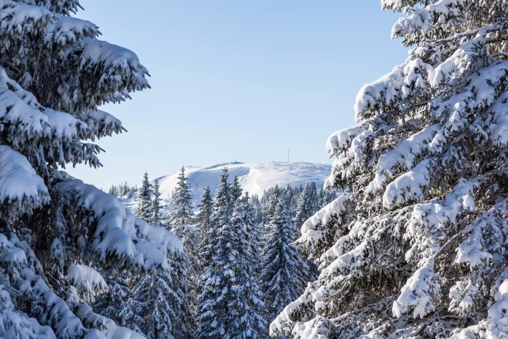 Waldklang Titisee ภายนอก รูปภาพ